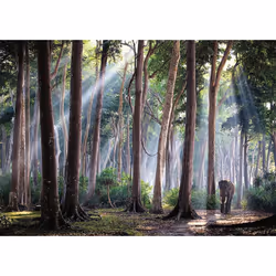 Nathan Puzzle 1000 p - Forêt indienne