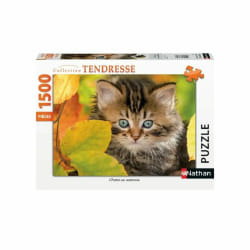 Ravensburger N 1500 P - Chaton En Automne