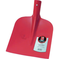 Pelle type Holsteiner rougeTaille 2