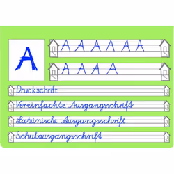 Oxford 100050089 bloc-notes A4 Vert