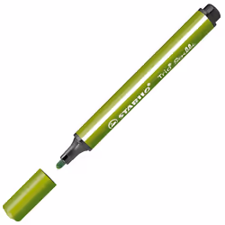 STABILO Trio Scribbi stylo-feutre Vert 1 pièce(s)