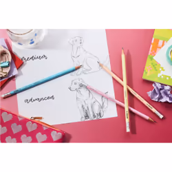 STABILO Swano Pastel HB 1 pièce(s)