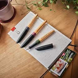STABILO 5171/2-41 stylo-plume Hêtre, Myrtille 1 pièce(s) - Vue supplémentaire 5