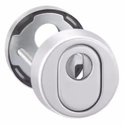 Rosette à clé de protection pour porte d'entrée 7156. acier inoxydable - En acier inoxydable. mat - Cylindre profilé perforé. ...