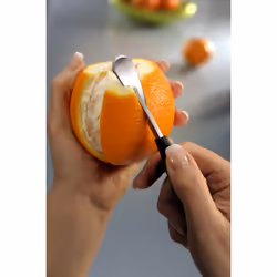 GEFU MELANSINA Fruits Éplucheur d’orange Noir, Acier inoxydable
