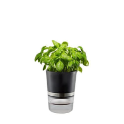 GEFU BOTANICO Pot pour plante Autonome Plastique, Acier inoxydable Noir