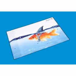 Laufer 46649, Multicolore, 530 mm, 400 mm, 1 pièce(s)