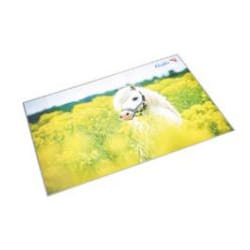 Laufer 46651 sous-mains Multicolore