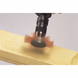 wolfcraft GmbH 1 brosse soucoupe en nylon