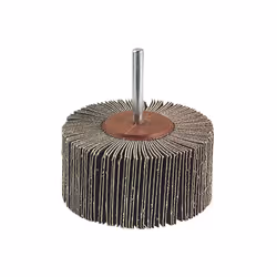 wolfcraft GmbH 1 roue abrasive à lamelles