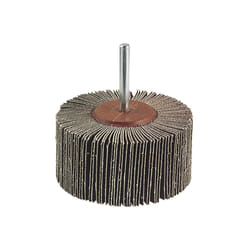 wolfcraft GmbH 1 roue abrasive à lamelles