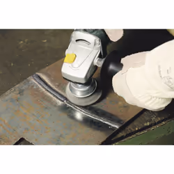 wolfcraft GmbH 1 brosse métal soucoupe