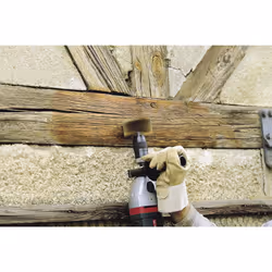 wolfcraft GmbH 1 brosse à structurer le bois