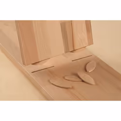 wolfcraft GmbH 2921000 cheville en bois Hêtre Biscuit