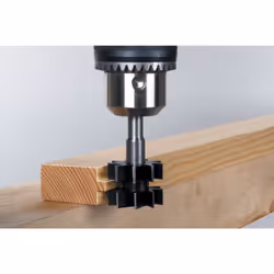 wolfcraft GmbH 1 fraise à tenons