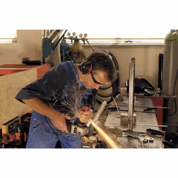 wolfcraft GmbH 1 casque antibruit Standard