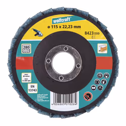 wolfcraft GmbH 1 disque à lamelles fibre