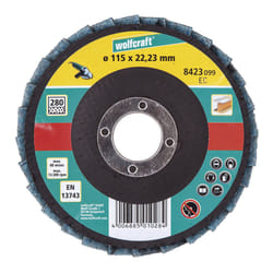 wolfcraft GmbH 1 disque à lamelles fibre
