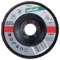 wolfcraft GmbH 1 disque à lamelles