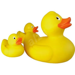 Lena Duck family