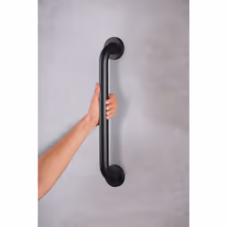 RIDDER A00145110 barre de maintien et rampe de sécurité Barre d'appui Aluminium Noir