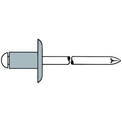 Rivets aveugles Gesipa aluminium/acier grande tête 5 x 14 k 14 250 pièces