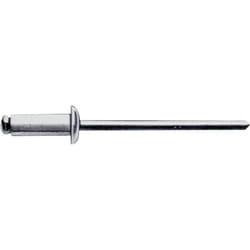 Gesipa - 1454614 Rivet aveugle acier acier 500 pc(s) R902162