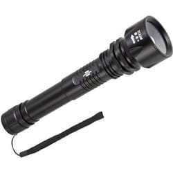 Brennenstuhl 1178600601 torche et lampe de poche Noir Lampe à pression LED