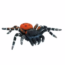 BULLYLAND 68458 - Spielfigur, Röhrenspinne, ca. 6,8 cm