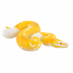 BULLYLAND Albino Königsphyton, 3 an(s), Blanc, Jaune, 1 pièce(s)