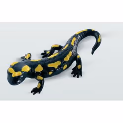 BULLYLAND 68493, Multicolore, 1 pièce(s)