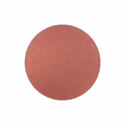 PFERD 42832324, 7650 tr/min, 240 g, 100 pièce(s)