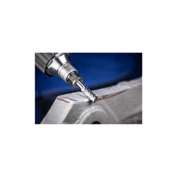 PFERD 21001001 brosse rotative 1 pièce(s)
