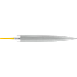 PFERD COR 835 200 H0 lime et râpe