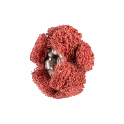 PFERD 44698193, 25100 tr/min, 1,9 cm, 280 g, 20 pièce(s)