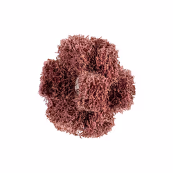 PFERD 44698384, 12600 tr/min, 3,8 cm, 80 g, 20 pièce(s)