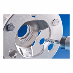PFERD ZYA 0616/6 INOX mèche de gravure 1 pièce(s)