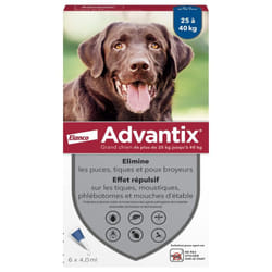 Advantix Grand Chien 25 à 40 kg 6 Pipettes
