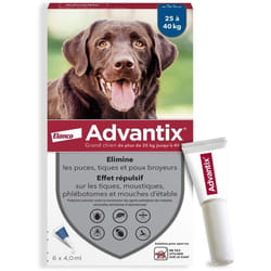 Bayer - Advantix 6 Pipettes Antiparasitaires - Pour Grand Chien De Plus De 25kg