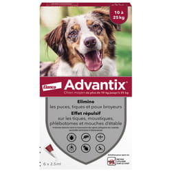 Advantix Chien Moyen 10 à 25 kg 6 Pipettes