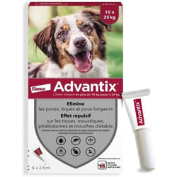 Bayer - Advantix 6 Pipettes Antiparasitaires - Pour Chien Moyen De 10 A 25kg