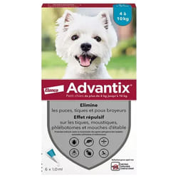 Advantix Petit Chien 4 à 10 kg 6 Pipettes