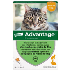 Advantage 40 Solution Antipuce Pour Chat et Lapin de Moins de 4kg 4 Pipettes