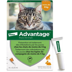 Bayer - Advantage 40 - 4 Pipettes Antiparasitaires - Pour Chat Et Lapin De Moins De 4kg