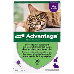 Advantage 80 Solution Antipuce Pour Chat et Lapin de 4kg et Plus 4 Pipettes