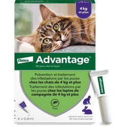 Bayer - Advantage 80 - 4 Pipettes Antiparasitaires - Pour Chat Et Lapin De 4kg Et Plus