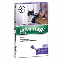 Carrefour Antiparassitario advantage spot on 80 valva per gatti e conigli > 4kg, Pipettes anti-puces et anti-tiques pour a ...