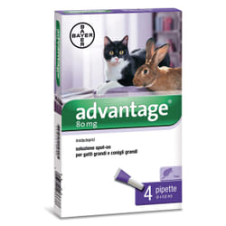 Carrefour Antiparassitario advantage spot on 80 valva per gatti e conigli > 4kg Pipettes anti-puces et anti-tiques pour animaux de compagnie