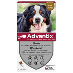 Advantix Grand Chien 40 à 60 kg 4 Pipettes
