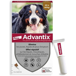 Bayer - Solution Antiparasitaire Pour Chien Advantix Très Grande Race 40 À 60 Kg 4 Pipettes